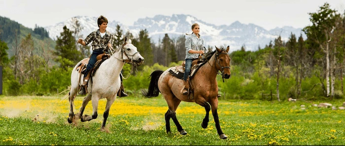 Confident plus-size woman riding Basildon a horse through a field with a smile on her face.